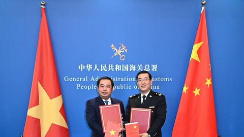 Xuất khẩu mít tươi Việt Nam: Cơ hội mới sang thị trường Trung Quốc