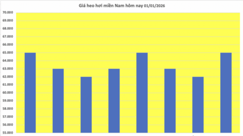 Giá heo hơi hôm nay 01/01/2026: Thị trường giảm nhẹ