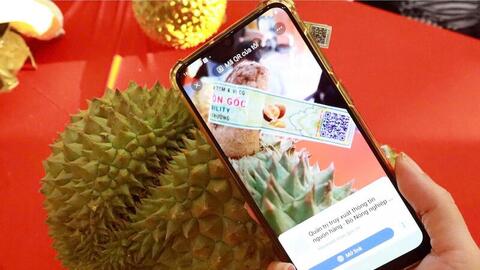 Xuất khẩu sầu riêng cần chiến lược dài hạn tại Trung Quốc