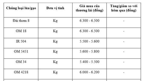 Giá lúa gạo hôm nay ngày 20/1/2026: Gạo xuất khẩu tiếp đà tăng