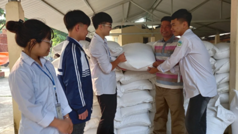 Phú Thọ hỗ trợ bổ sung hơn 38 tấn gạo cho học sinh vùng khó khăn