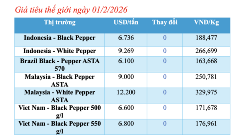 Giá tiêu hôm nay 01/2/2026: Thị trường lặng sóng