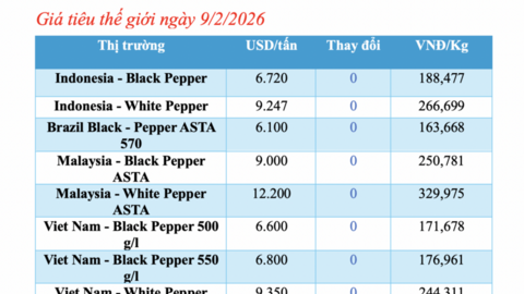 Giá tiêu hôm nay 9/2/2026: Dao động từ 148.000 - 150.500 đồng/kg