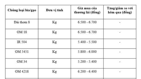 Giá lúa gạo hôm nay ngày 11/2/2026: Gạo nguyên liệu xuất khẩu giảm nhẹ