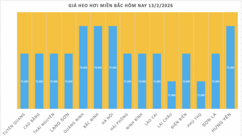 Giá heo hơi hôm nay 13/2/2026: Thị trường trầm lắng