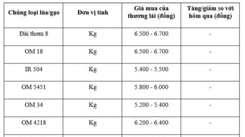 Giá lúa gạo hôm nay ngày 14/2 và tuần qua:  Đài Thơm 8  được Philippines ưa chuộng