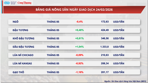 Giá đậu tương tăng tới gần 0,5% lên mức 424,5 USD/tấn