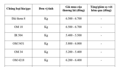 Giá lúa gạo hôm nay ngày 2/3/2026: Lúa tươi vững giá