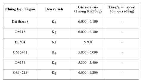 Giá lúa gạo hôm nay ngày 13/3/2026: Tấm thơm tăng nhẹ