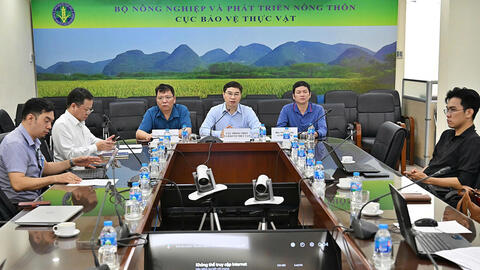 Nông sản Việt trước sức ép mới từ thị trường EU