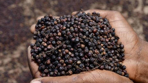 Xuất khẩu nông sản cần chủ động trong 'luật chơi' MRL