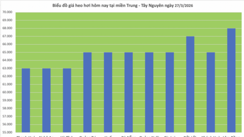 Giá heo hơi hôm nay 27/3/2026: Giảm tại miền Bắc