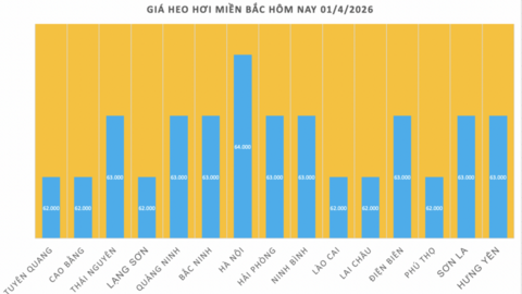 Giá heo hơi hôm nay 01/4/2026: Biến động trái chiều