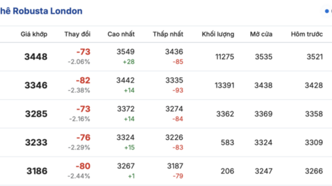 Giá cà phê hôm nay 3/4/2026: Tăng 800 - 1.000 đồng/kg