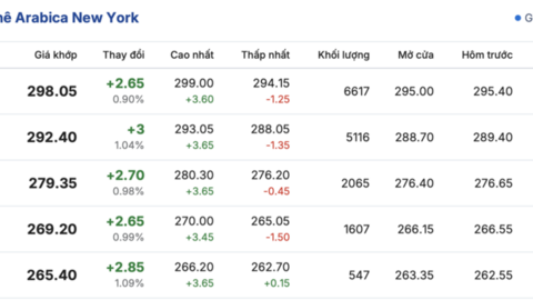 Giá cà phê hôm nay 7/4/2026: Giữ đà bình ổn