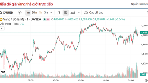 Giá vàng hôm nay (7/4): Vàng thế giới bất động, trong nước giảm sâu