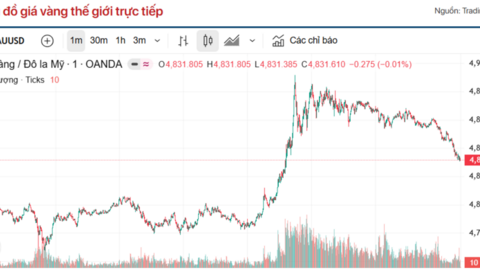 Giá vàng hôm nay (20/4): Chuyên gia lạc quan về giá vàng tuần mới