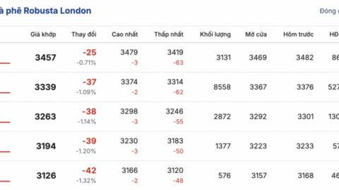 Giá cà phê hôm nay 22/4/2026: Quay đầu giảm nhẹ