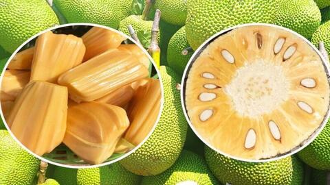 Giá nông sản hôm nay, ngày 24/4: Tăng, giảm trái chiều