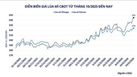 Giá lúa mì tăng vọt trong bối cảnh rủi ro nguồn cung gia tăng