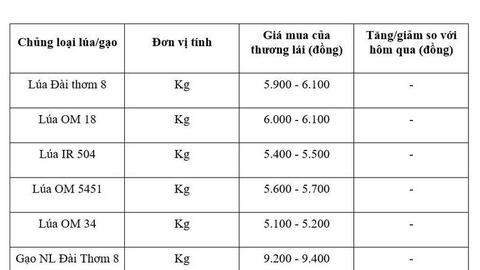 Giá lúa gạo hôm nay ngày 1/5/2026: Thị trường trầm lắng