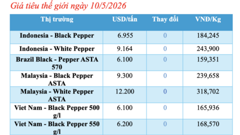 Giá tiêu hôm nay 10/5/2026: Bật tăng vài nơi