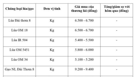Giá lúa gạo hôm nay ngày 20/5/2026: Gạo xuất khẩu tiếp đà tăng mạnh