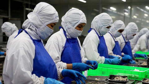 Chủ động cập nhật quy định ghi nhãn trong RCEP, tránh rủi ro xuất khẩu