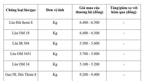 Giá lúa gạo hôm nay ngày 31/5, tuần qua: Lúa, gạo xuất khẩu biến động