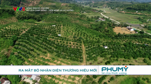 “Nông sản kể chuyện” – Khi nông nghiệp Việt Nam cất lời qua những câu chuyện phát triển mới