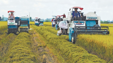 Nông nghiệp phát thải thấp mở đường nâng giá trị nông sản Việt