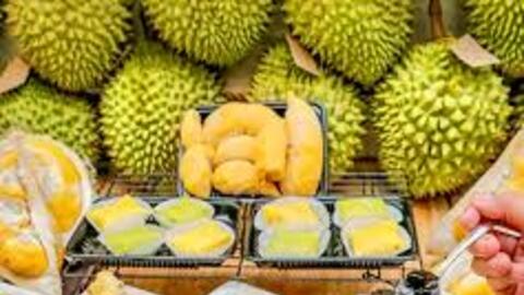 Cần Thơ: Sắp diễn ra tuần lễ buffet sầu riêng năm 2026