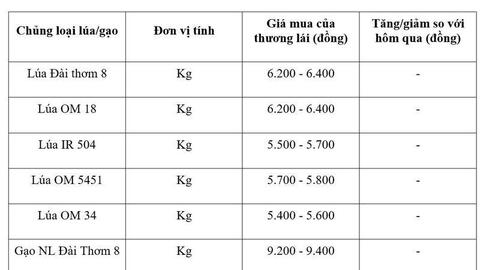 Giá lúa gạo hôm nay ngày 26/6/2026: Gạo xuất khẩu đảo chiều tăng