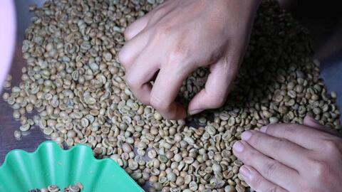 Giá cà phê hôm nay 26/6/2026: Dao động từ 89.000 - 89.400 đồng/kg