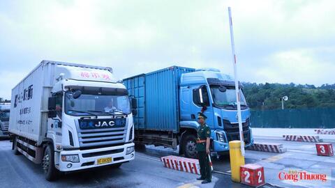 Cập nhật tin xuất nhập khẩu qua các cửa khẩu Lạng Sơn ngày 25/6/2026