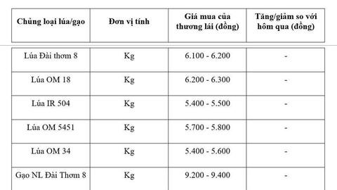 Giá lúa gạo hôm nay ngày 1/7: Gạo thơm Jasmine tăng 1.000 đồng/kg