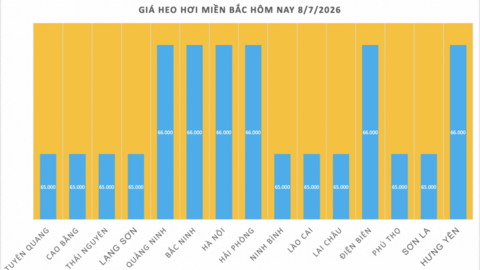 Giá heo hơi hôm nay 8/7/2026: Tạm chững, cao nhất 66.000 đồng/kg