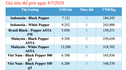 Giá tiêu hôm nay 8/7/2026: Đồng loạt tăng 1.000 đồng/kg