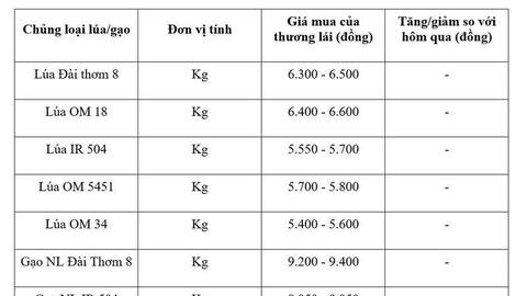 Giá lúa gạo hôm nay ngày 8/7: Gạo xuất khẩu biến động trái chiều