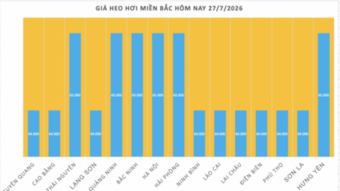 Giá heo hơi hôm nay 27/7/2026: Giảm 1.000 đồng/kg tại nhiều địa phương