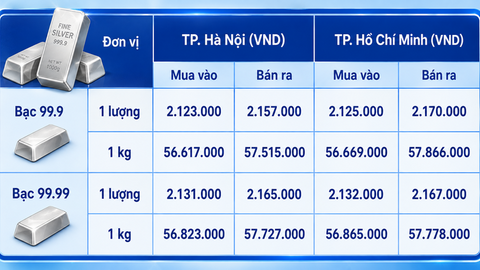 Giá bạc hôm nay 13/8/2026: Bứt phá hay quay đầu?