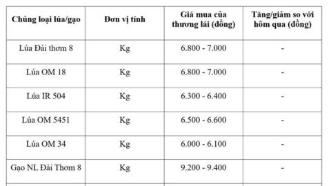 Giá lúa gạo hôm nay ngày 27/8/2026: Gạo xuất khẩu giảm