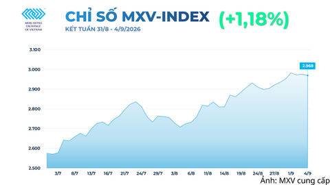 Giá lúa mì giảm sâu khi lo ngại nguồn cung Biển Đen hạ nhiệt