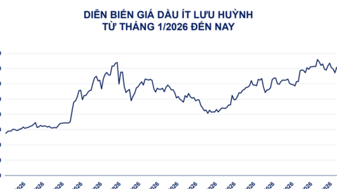 Đà tăng của dầu diesel dẫn dắt thị trường giao dịch hàng hóa
