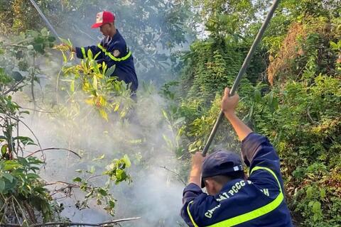 Hải Phòng: Chính quyền không chủ quan, giám sát chặt khi liên tiếp xảy ra cháy rừng