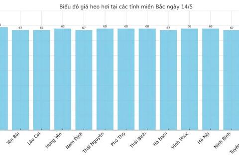 Giá heo hơi hôm nay 14/5/2025: Miền Nam giữ đà tăng nhẹ