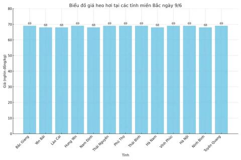 Giá heo hơi hôm nay 9/6/2025: Miền Nam đồng loạt hạ giá