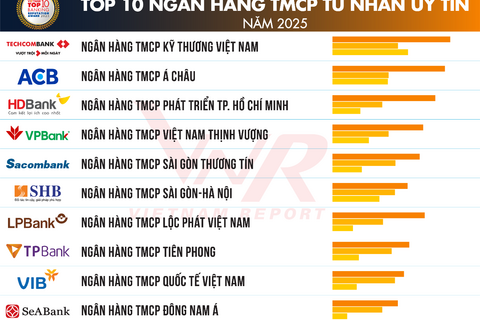 Top 10 “đại gia” ngân hàng và dự báo cơ hội tăng trưởng năm 2025