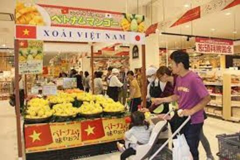 Doanh nghiệp cần chủ động mở rộng hệ thống phân phối hàng hóa ra nước ngoài