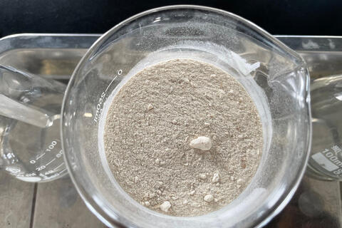 Sinh viên tạo muối ăn ít natri từ mai mực